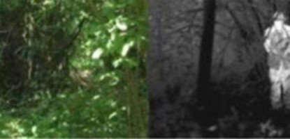 Термовизионните камери – решение, където другите не могат